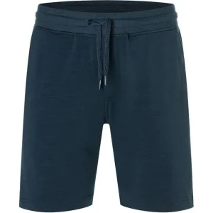 super.natural Solution Shorts Herren, blueberry Preiswert