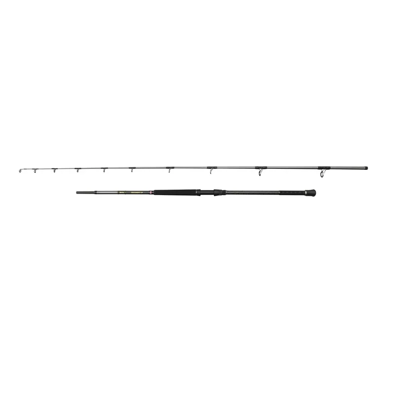 Penn Spinnrute Regiment IV Pilk 70-300g Knallerangebot