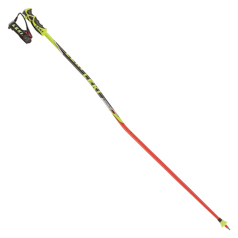 LEKI Titanium Carbon GS Skistöcke Sofort Bestellen